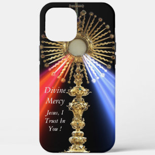 Divine Mercy iPhone 12 Pro Max Case