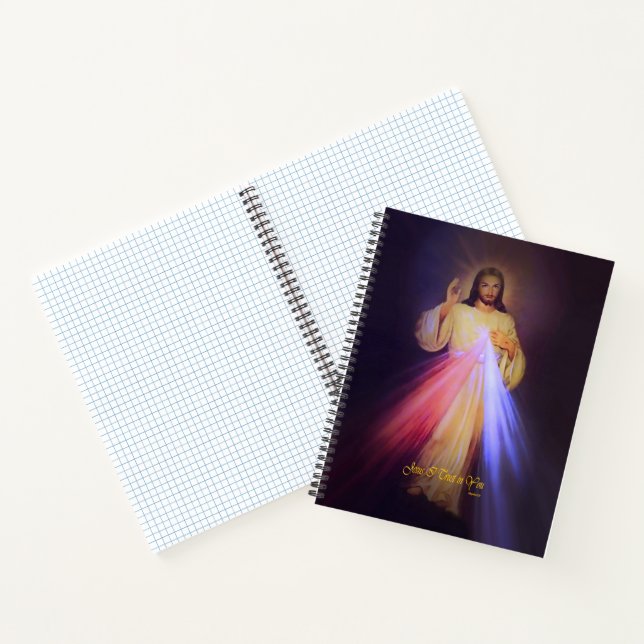 Divine Mercy Gold with Chaplet Prayer Notebook (Inside)