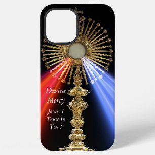 Divine Mercy iPhone 12 Pro Max Case