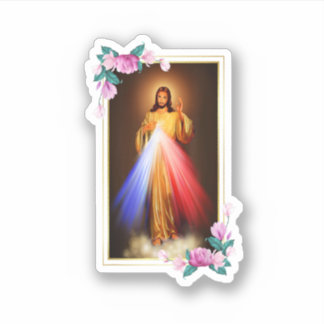 Divine Mercy Jesus Christ Sacred Heart Of Jesus Gi