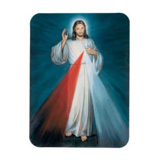 divine mercy  magnet