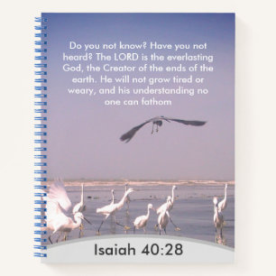 Divine Unfathomable Understanding: Isaiah 40:28 Notebook