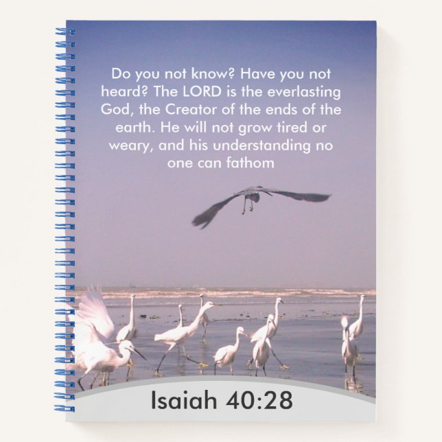 Divine Unfathomable Understanding: Isaiah 40:28 Notebook (Front)