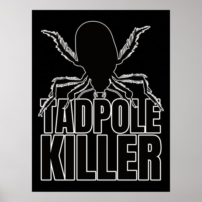 Diving Beetle Beetles Tadpole Killer – Entomology Poster (Front)