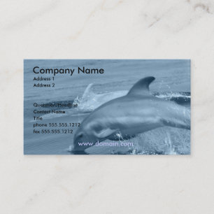 Diving Dolphin Business Card