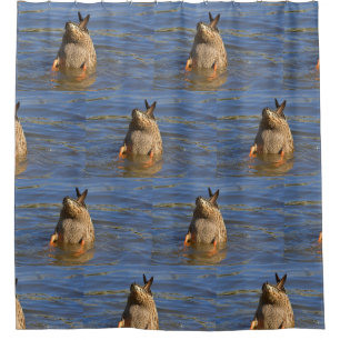 Diving Duck Shower Curtain