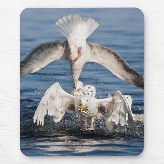 Diving Gulls Mouse Mat (Front)