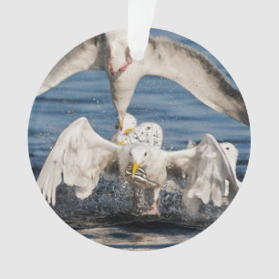 Diving Gulls Ornament