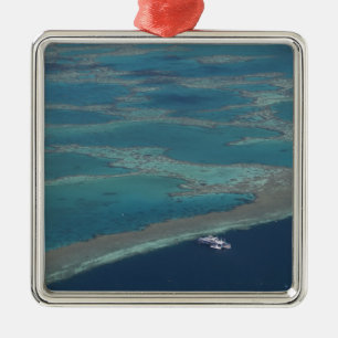 Diving platforms near reef, Great Barrier Metal Tree Decoration