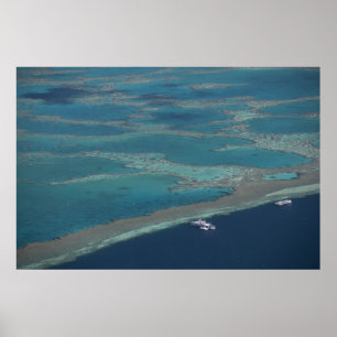 Diving platforms near reef, Great Barrier Poster