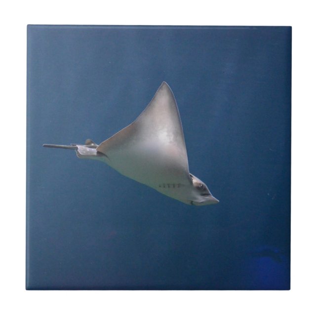Diving Stingray Tile (Front)