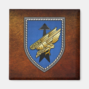 Division Spezielle Operationen [DSO] Magnet