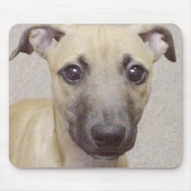 Divo Mouse Mat (Front)