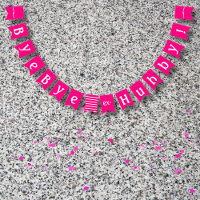 Divorce Party Decor Bye Bye Ex Hubby Funny Pink