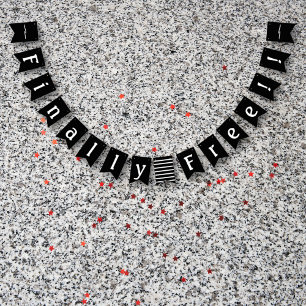 Divorce Party Finally Free Celebration Black White Bunting
