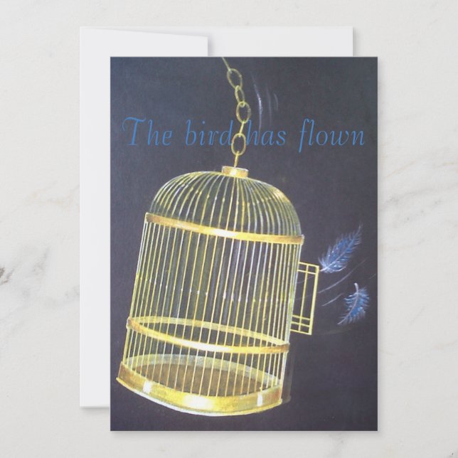 Divorce Party funny personalised Invitation (Front)