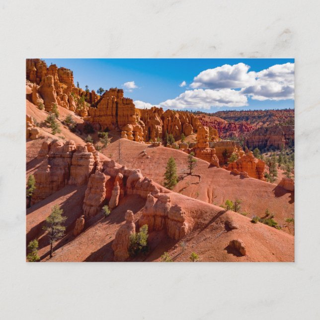 Dixie National Forest Landscape Photo Postcard (Front)