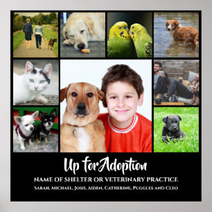 DIY 9 photo   Adopt animal shelter veterinary vet Poster