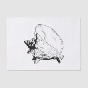 DIY Colour Beach Theme - Conch She’ll - Black Tissue Paper