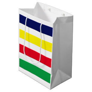 DIY Colours 4 Stripe Red Blue Yellow Green White Medium Gift Bag