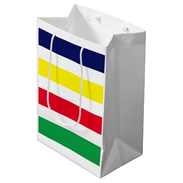 DIY Colours 4 Stripe Red Blue Yellow Green White Medium Gift Bag (Front Angled)