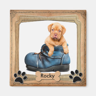 DIY Family Pet Photo Magnet