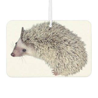 DIY Hedgehog air freshener