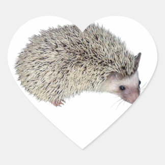 DIY Hedgehog right Heart Sticker