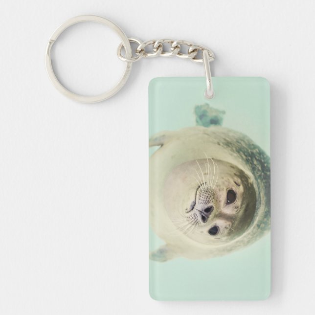 DIY NAME AND SEAL Acrylic Keychain (Front)