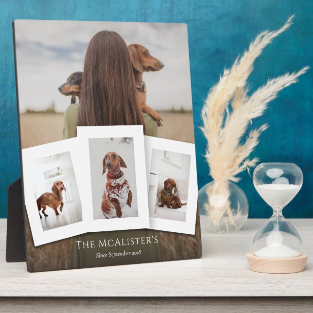 DIY Pet Four Photo Collage Plaque (Side)