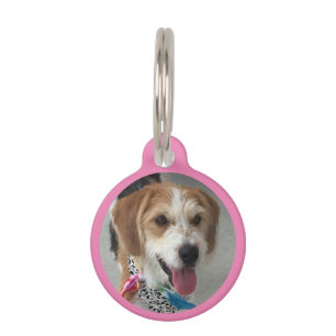 DIY Photo in Circle, Name & Info, Pink Pet Tag