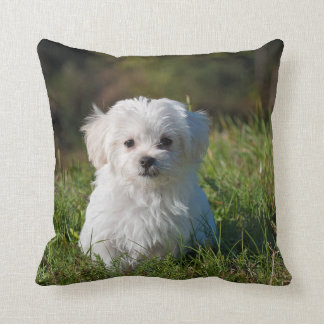 DIY - Print on a PILLOW - Add image and text