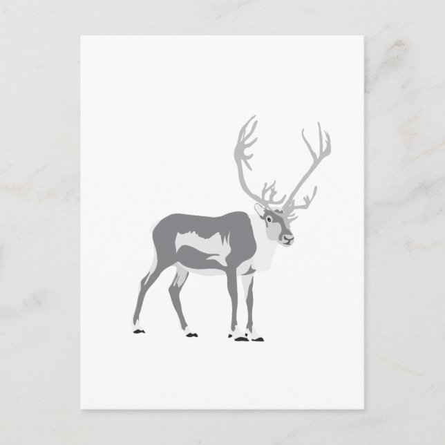 DIY Reindeer Postcard (Front)