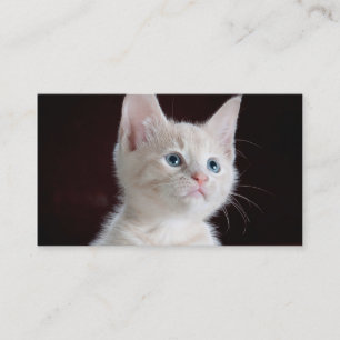 DIY Upload Your Photo Custom Blank Business Card