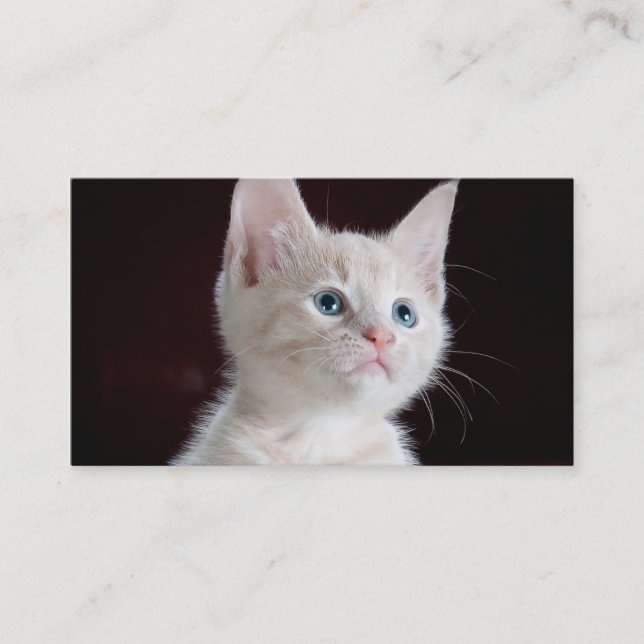 DIY Upload Your Photo Custom Blank Business Card (Front)