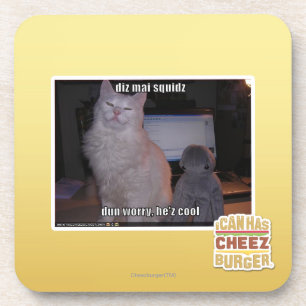 diz mai squidz coaster