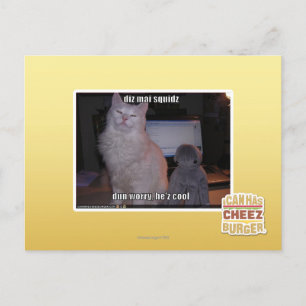 diz mai squidz postcard