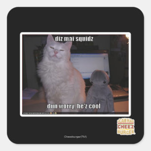 diz mai squidz square sticker