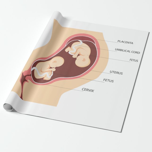 Dizygotic twin pregnancy wrapping paper (Unrolled)