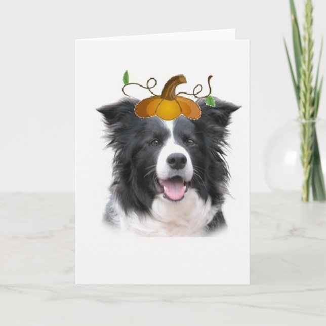 Dizzy Dogz~Border Collie Note Card~Halloween Card (Front)