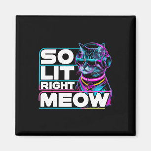 Dj Cat So Lit Right Meow Edm Techno Rave Party Fes Magnet