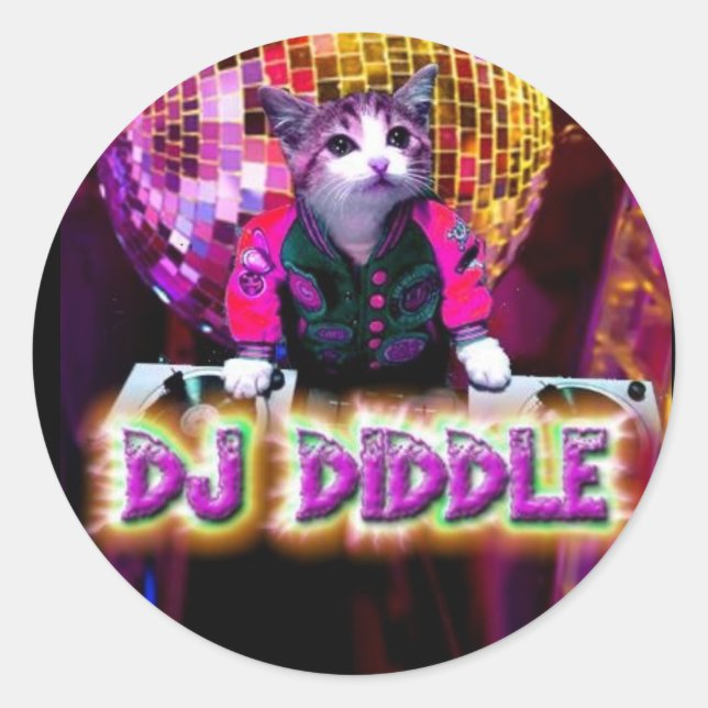 DJ DIDDLE STICKER (Front)