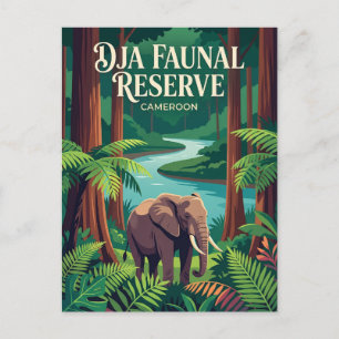Dja Faunal Reserve Cameroon Postcard