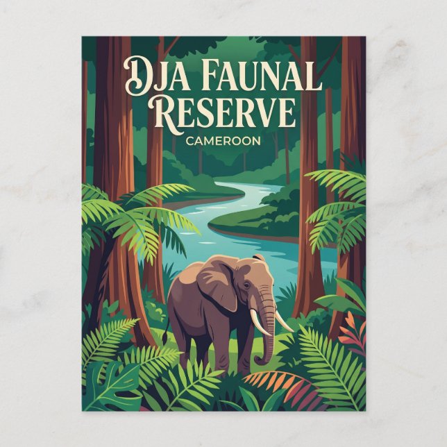 Dja Faunal Reserve Cameroon Postcard (Front)