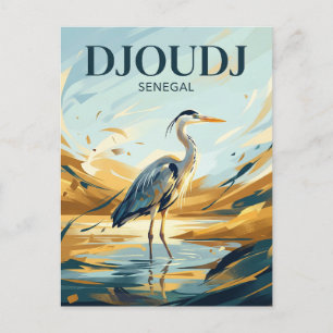 Djoudj National Bird Sanctuary Senegal Postcard