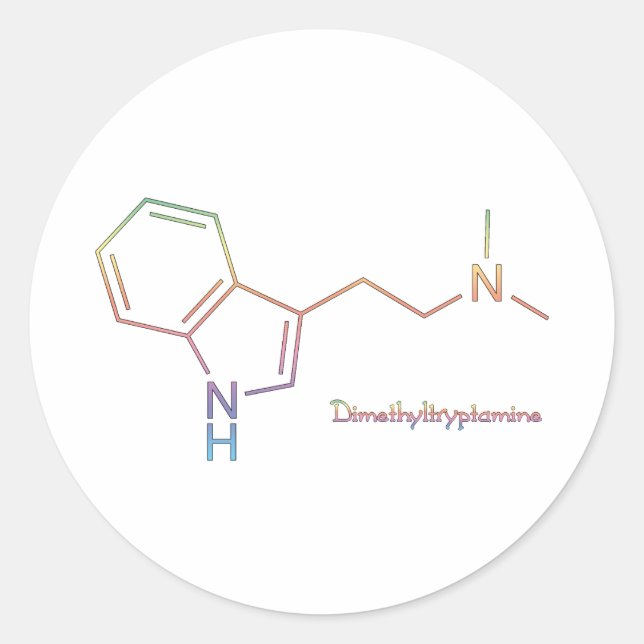 DMT Rainbow Classic Round Sticker (Front)