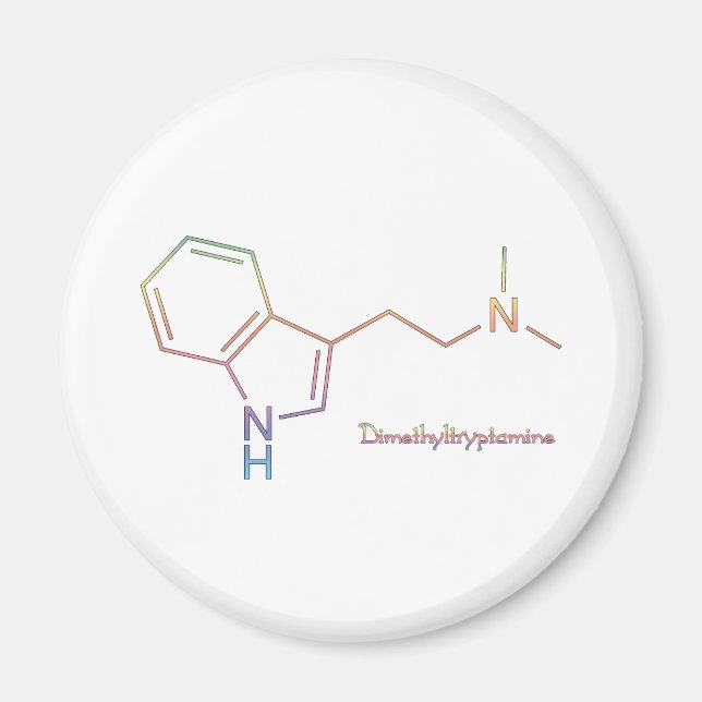DMT Rainbow Magnet (Front)