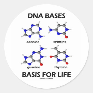 DNA Bases Basis For Life (Chemistry Molecules) Classic Round Sticker