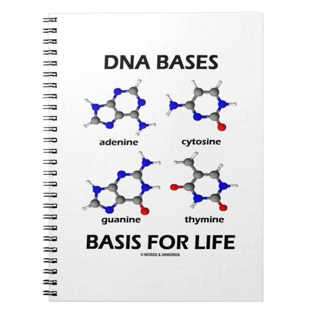 DNA Bases Basis For Life Molecular Structure Notebook (Front)