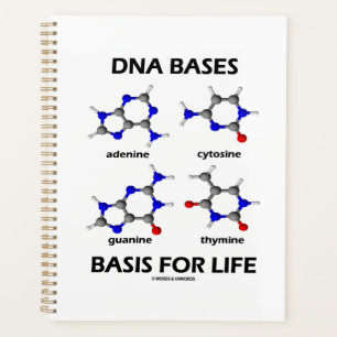 DNA Bases Basis For Life Molecular Structure Planner